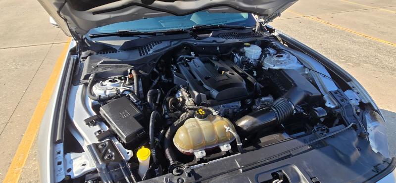 Ford Mustang EcoBoost Coupe 2019