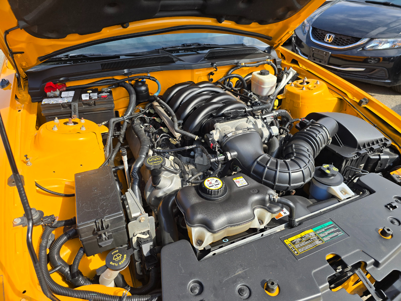 Ford Mustang GT Deluxe Coupe 2007 Ford Mustang GT Deluxe Coupe 2007