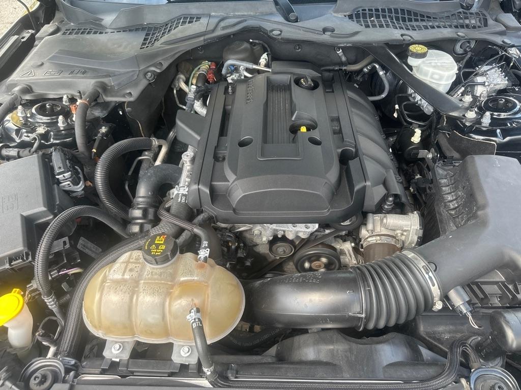 Ford Mustang EcoBoost Premium Convertible 2019