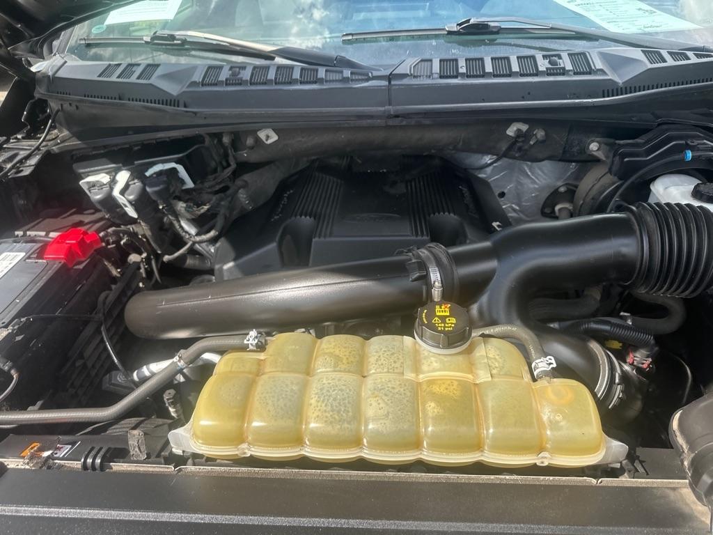 Ford F-150 XL SuperCrew 6.5-ft. Bed 4WD 2020