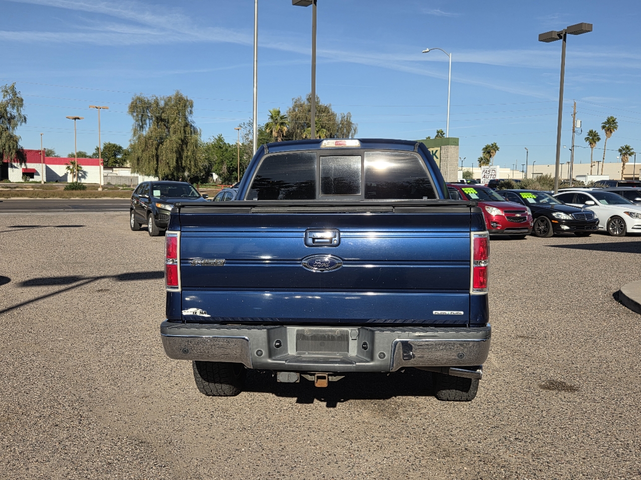 Ford F-150 4WD SuperCrew 145" Platinum 2011