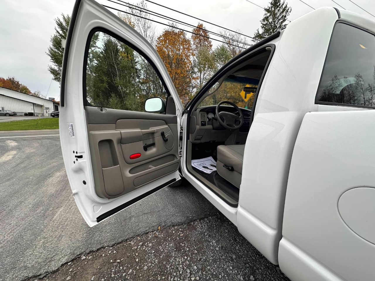 Dodge Ram 1500 Reg. Cab 8-ft. Bed 2WD 2002