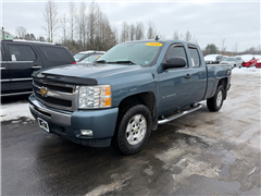 2010 Chevrolet Silverado 1500 