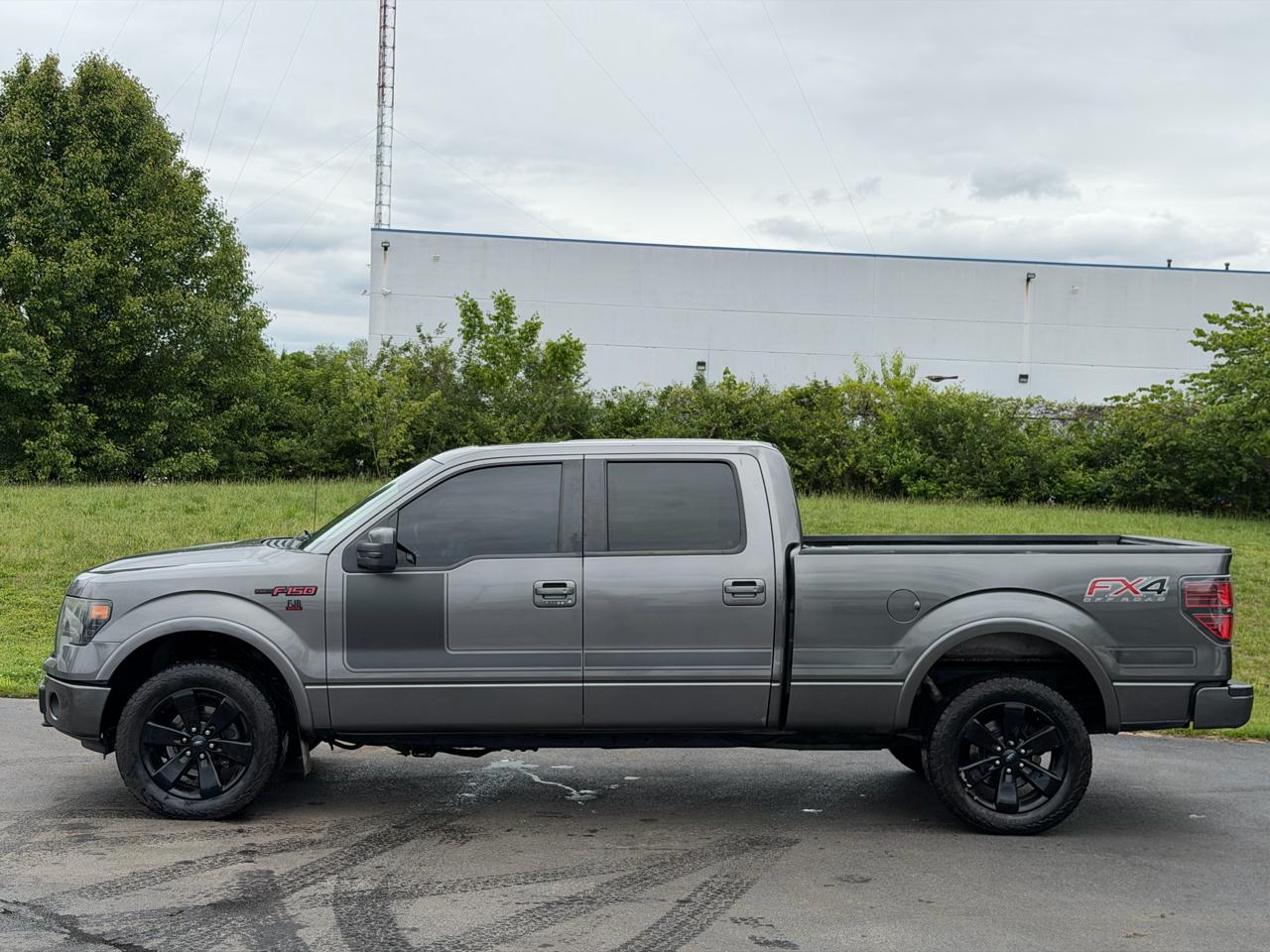 Ford F-150 4WD SuperCrew 145" Platinum 2013