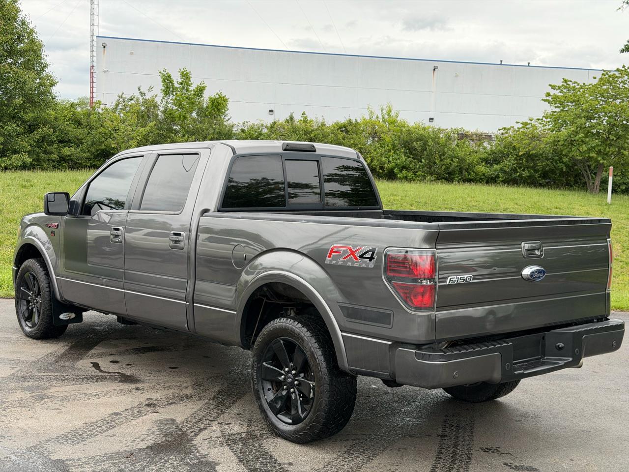 Ford F-150 4WD SuperCrew 145" Platinum 2013