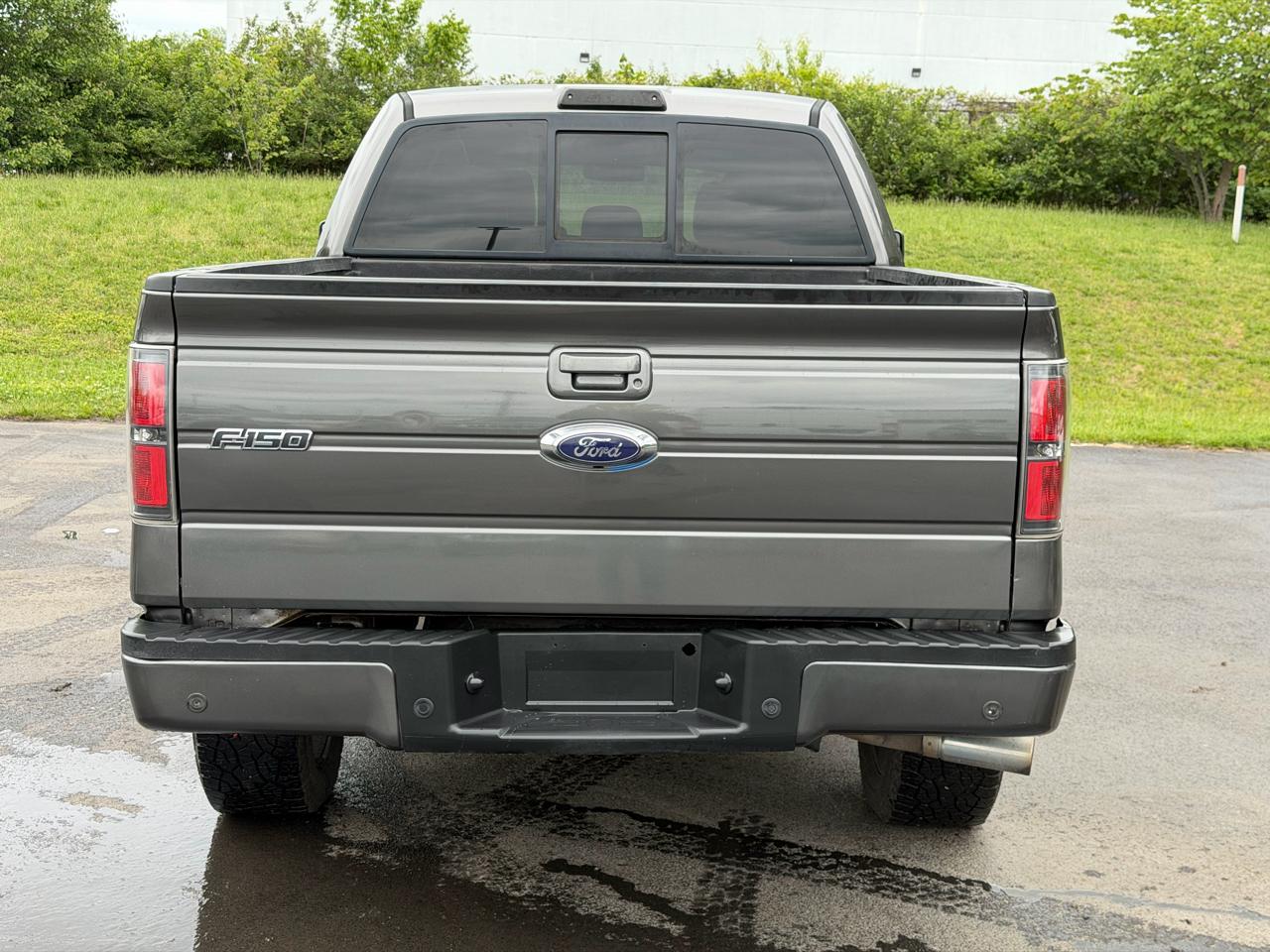 Ford F-150 4WD SuperCrew 145" Platinum 2013