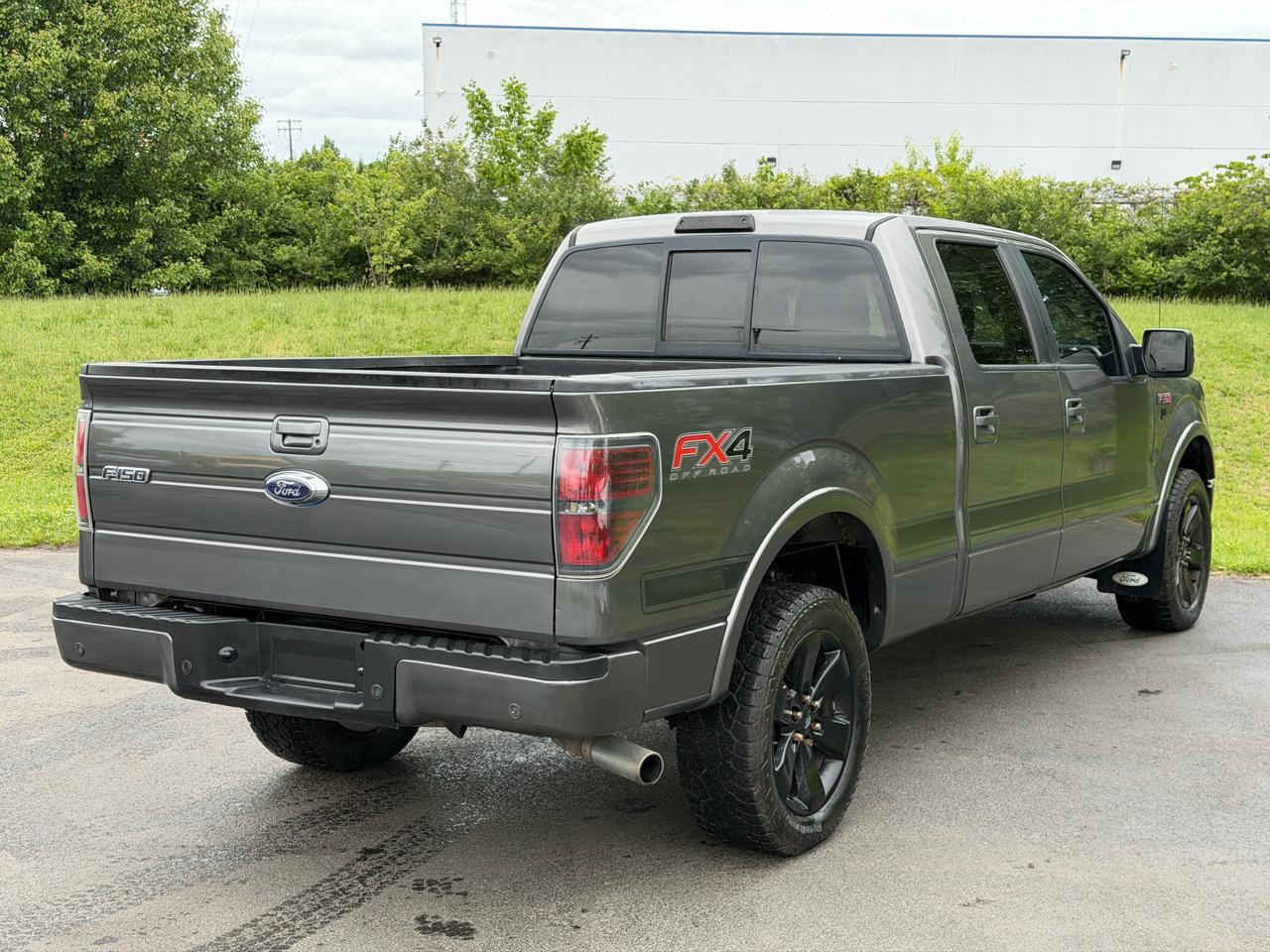Ford F-150 4WD SuperCrew 145" Platinum 2013