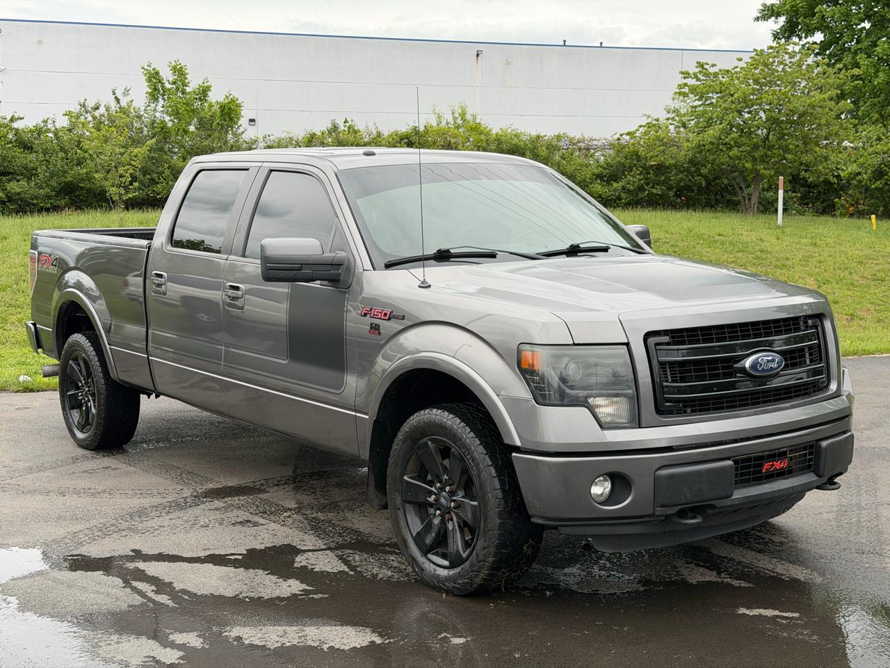 Ford F-150 4WD SuperCrew 145" Platinum 2013