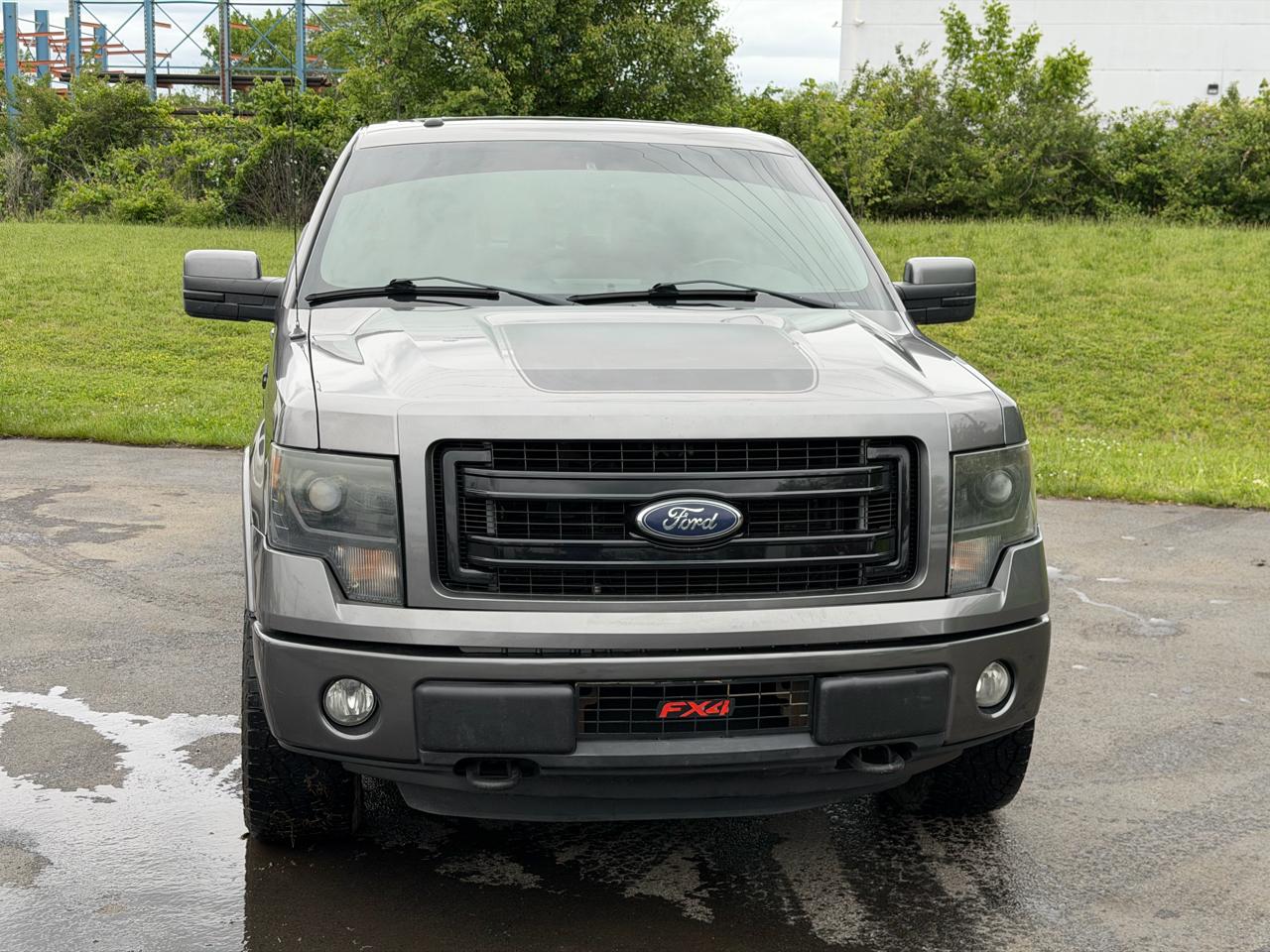 Ford F-150 4WD SuperCrew 145" Platinum 2013