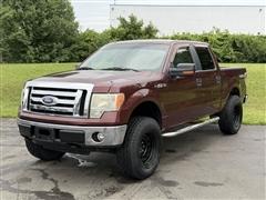2010 Ford F-150 