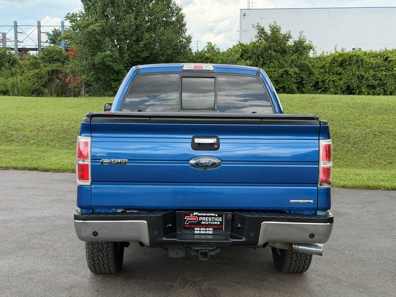 Ford F-150 4WD SuperCrew 145" Platinum 2013