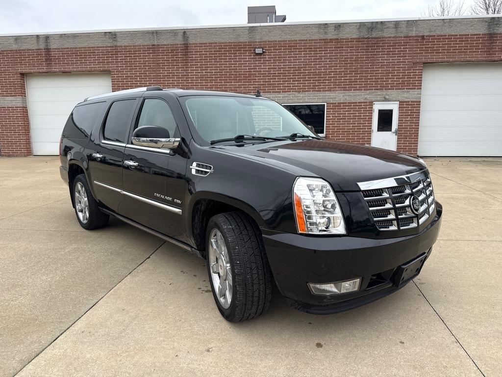 Cadillac Escalade ESV AWD Premium 2011