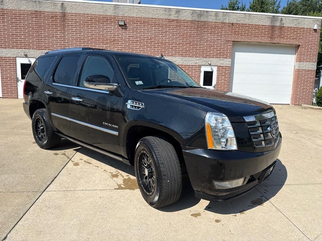 Cadillac Escalade AWD Premium 2011