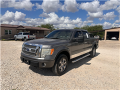 2010 Ford F-150 