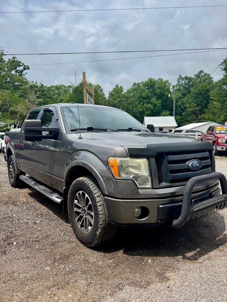 Ford F-150 AWD SuperCrew 145" Harley-Davidson 2010