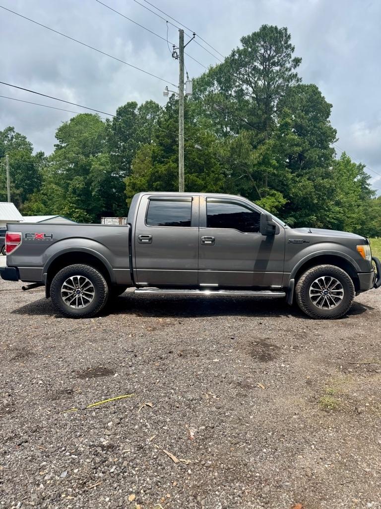 Ford F-150 AWD SuperCrew 145" Harley-Davidson 2010