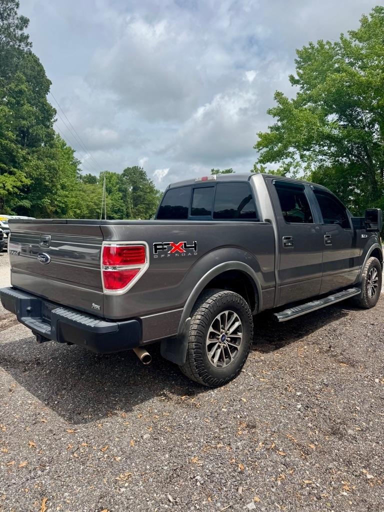 Ford F-150 AWD SuperCrew 145" Harley-Davidson 2010