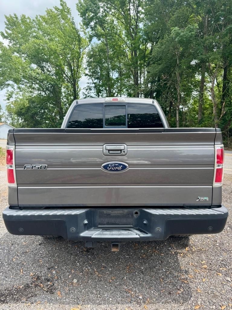 Ford F-150 AWD SuperCrew 145" Harley-Davidson 2010