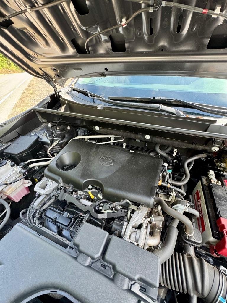 Toyota RAV4 XLE AWD (Natl) 2019
