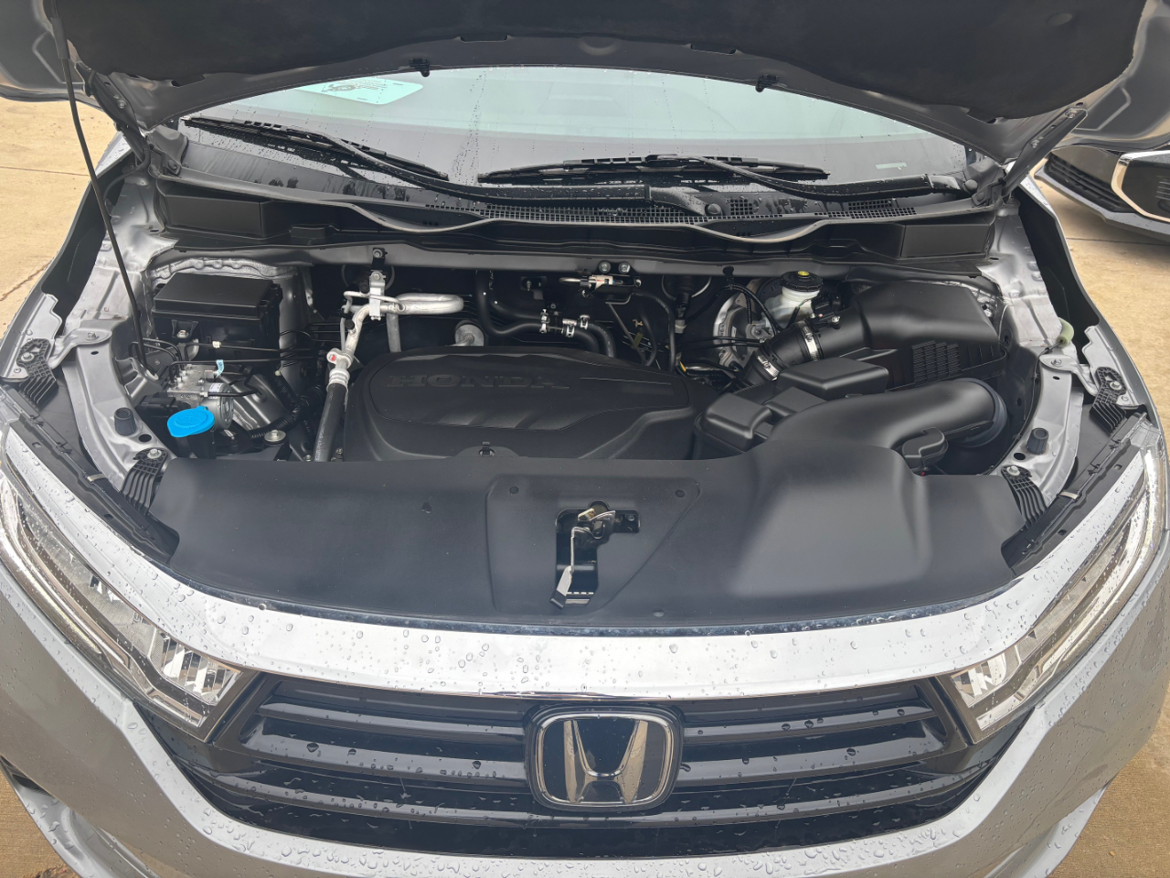 Honda Odyssey EX-L 2022