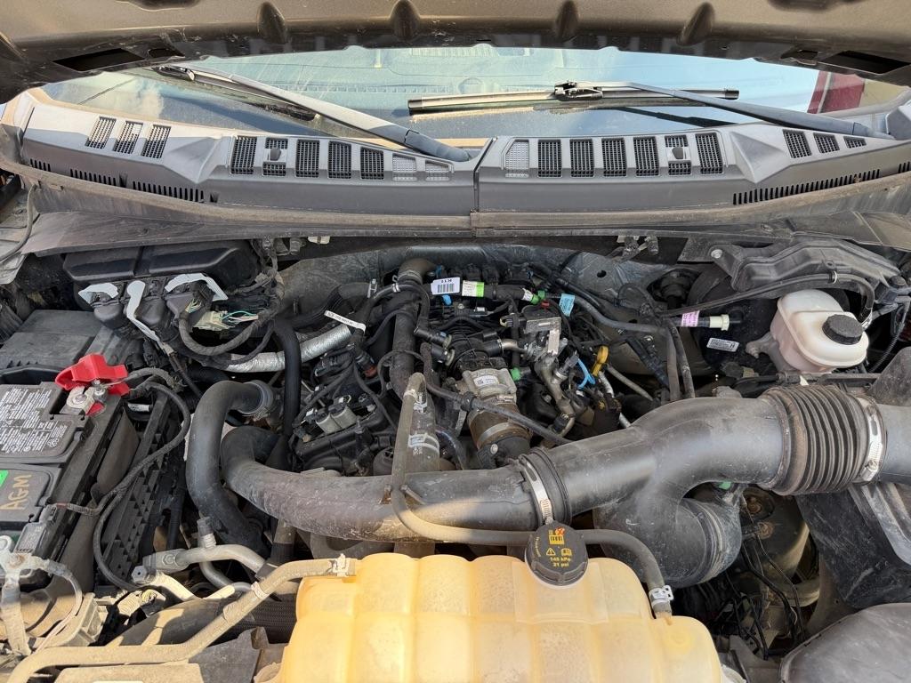 Ford F-150  2019