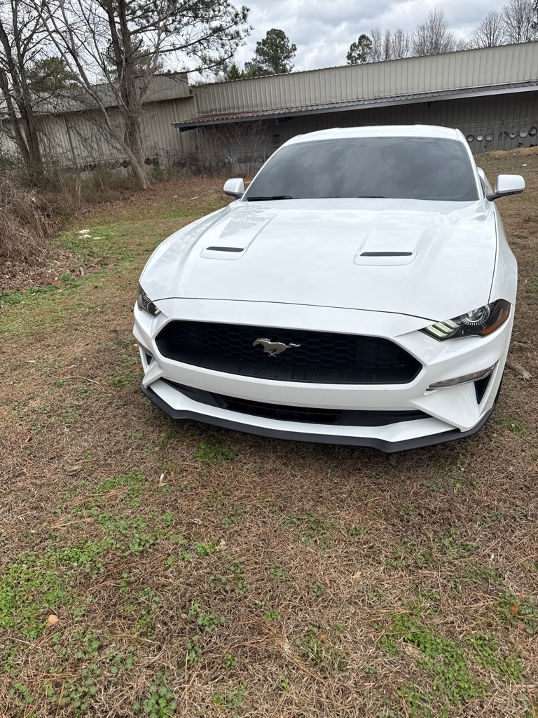 2019 Ford Mustang Coup