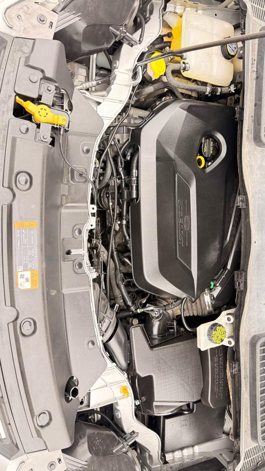 Ford Escape FWD 4dr SE 2014
