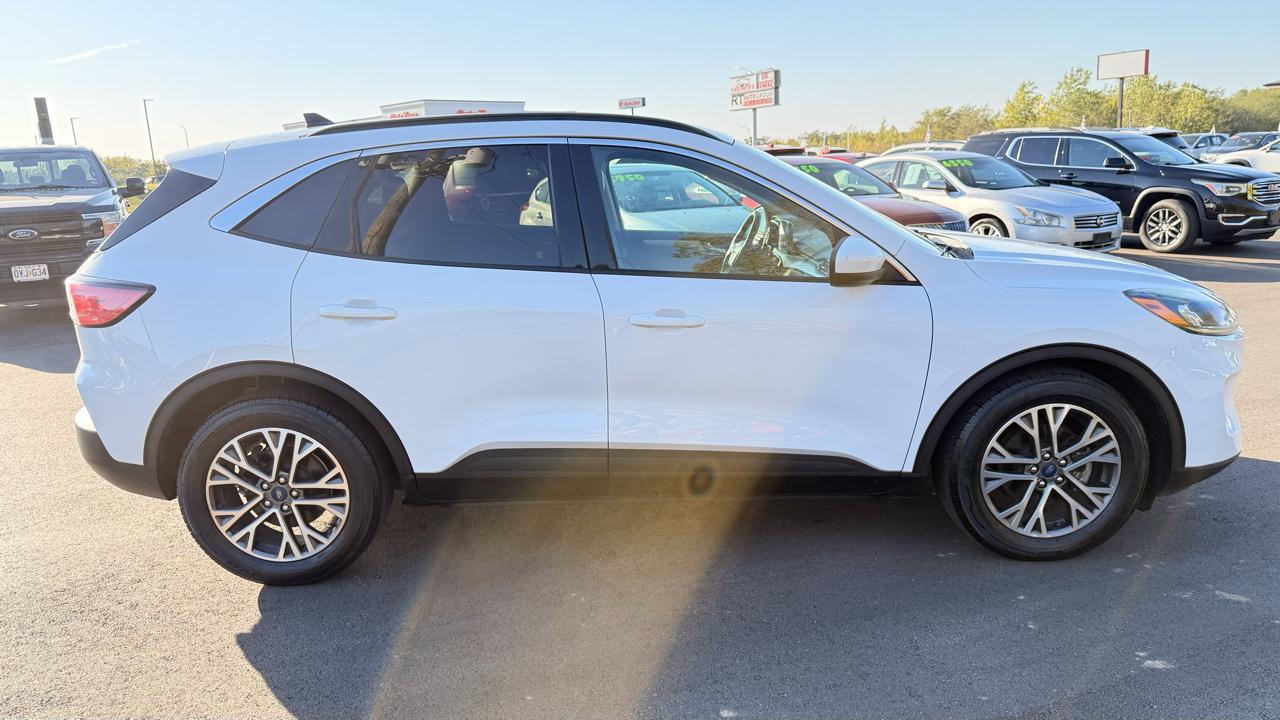 Ford Escape FWD 4dr SEL 2020