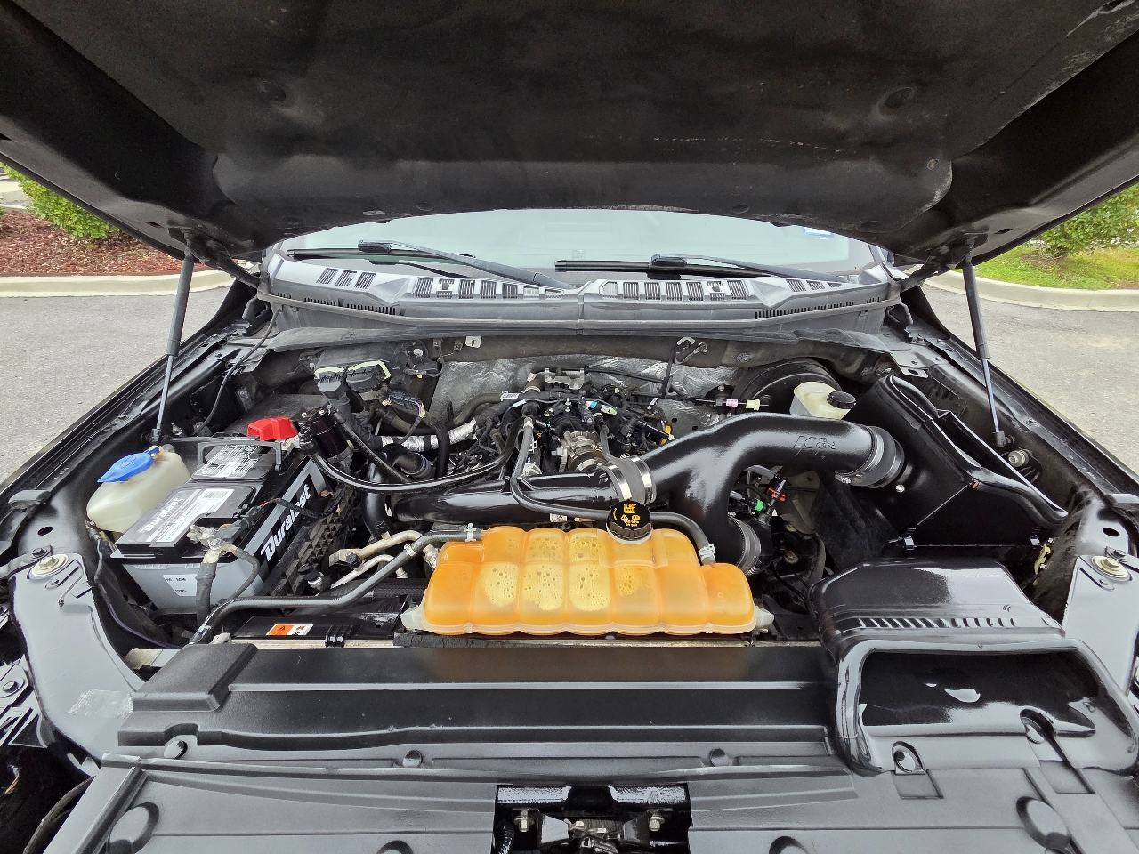 Ford F-150 2WD SuperCrew 157" XLT 2015