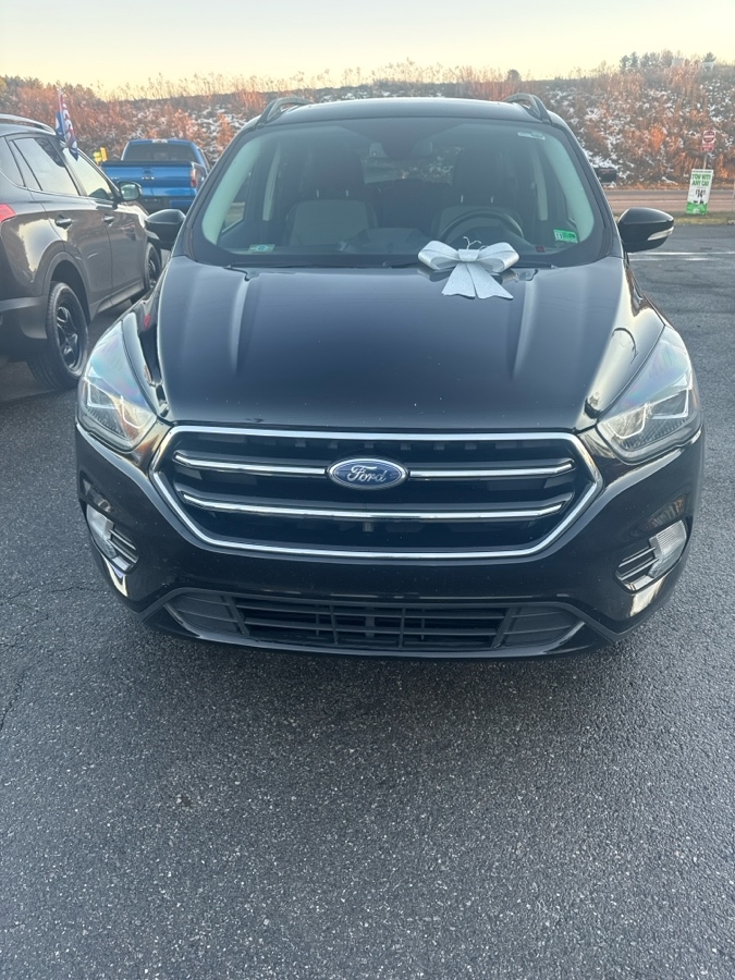 2017 Ford Escape Titanium's photo