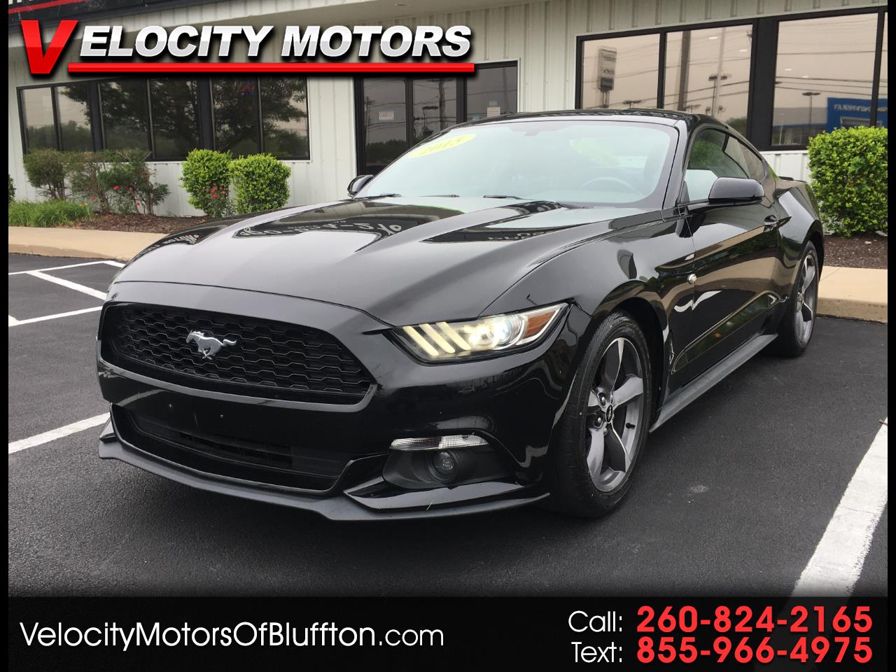 Used Cars for Sale Bluffton IN 46714 Velocity Motors, Inc.