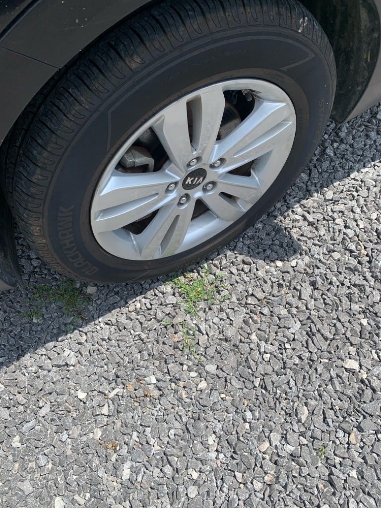 Kia Sportage 2WD 4dr I4 Auto LX 2009 Kia Sportage 2WD 4dr I4 Auto LX 2009