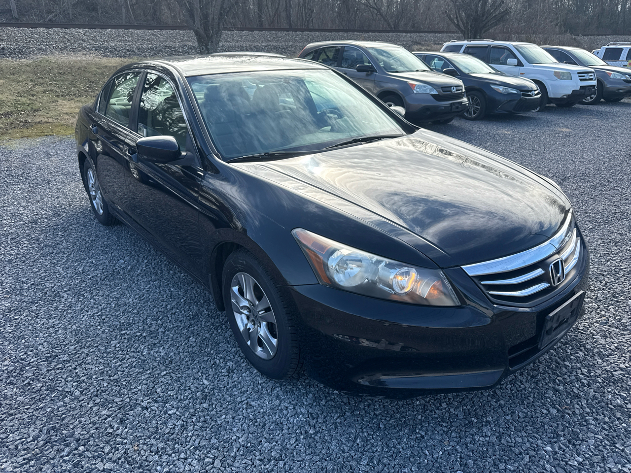 Honda Accord Sdn 4dr I4 Auto SE 2011