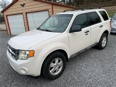 2010 Ford Escape 