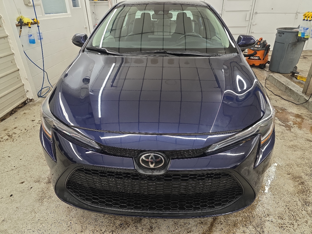 Toyota Corolla  2022