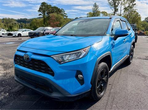 2019 Toyota RAV4 XLE AWD (Natl)