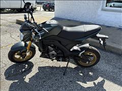 2025 Kawasaki Z125 PRO 