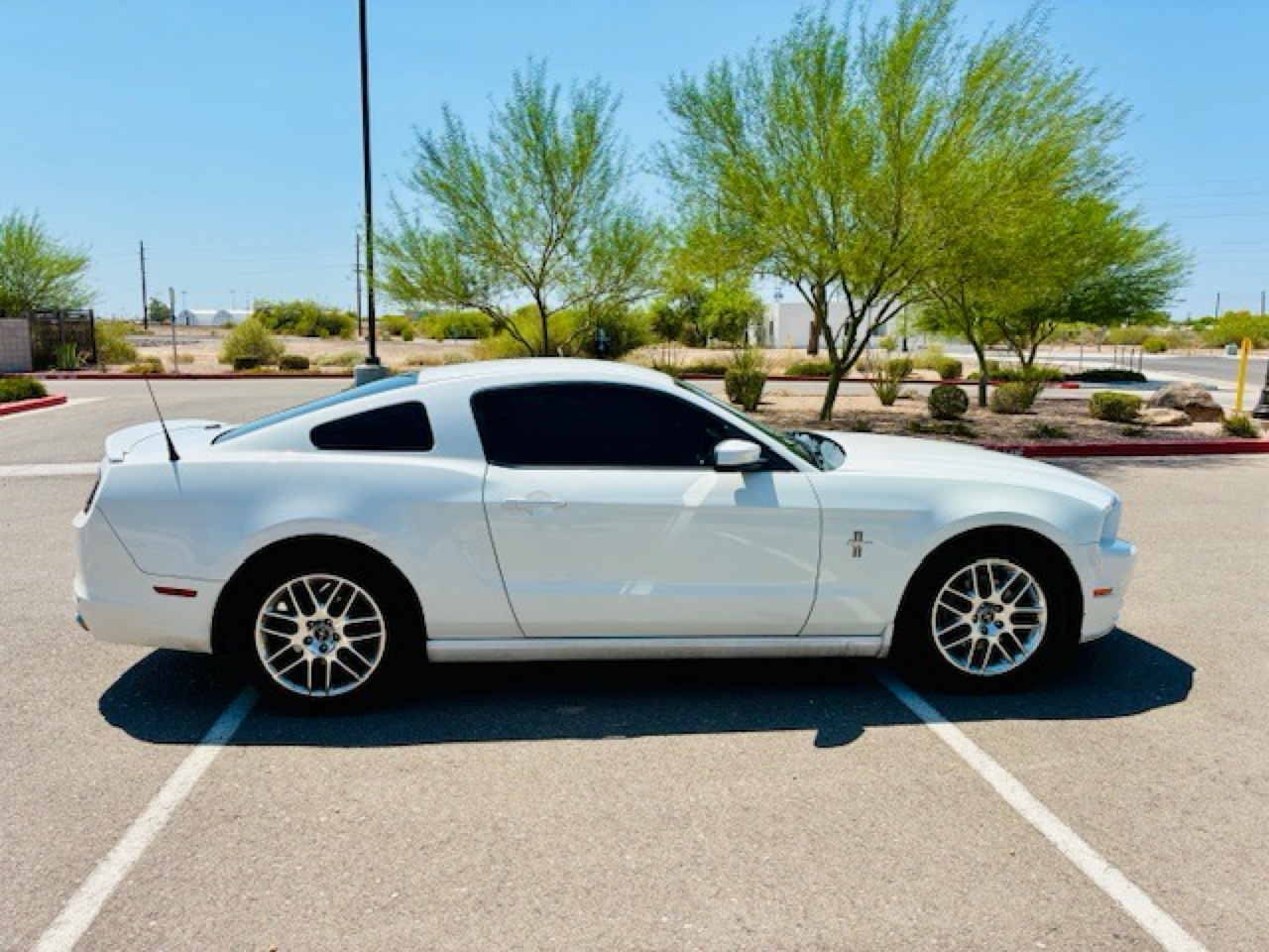 2013 Ford Mustang Base photo 3