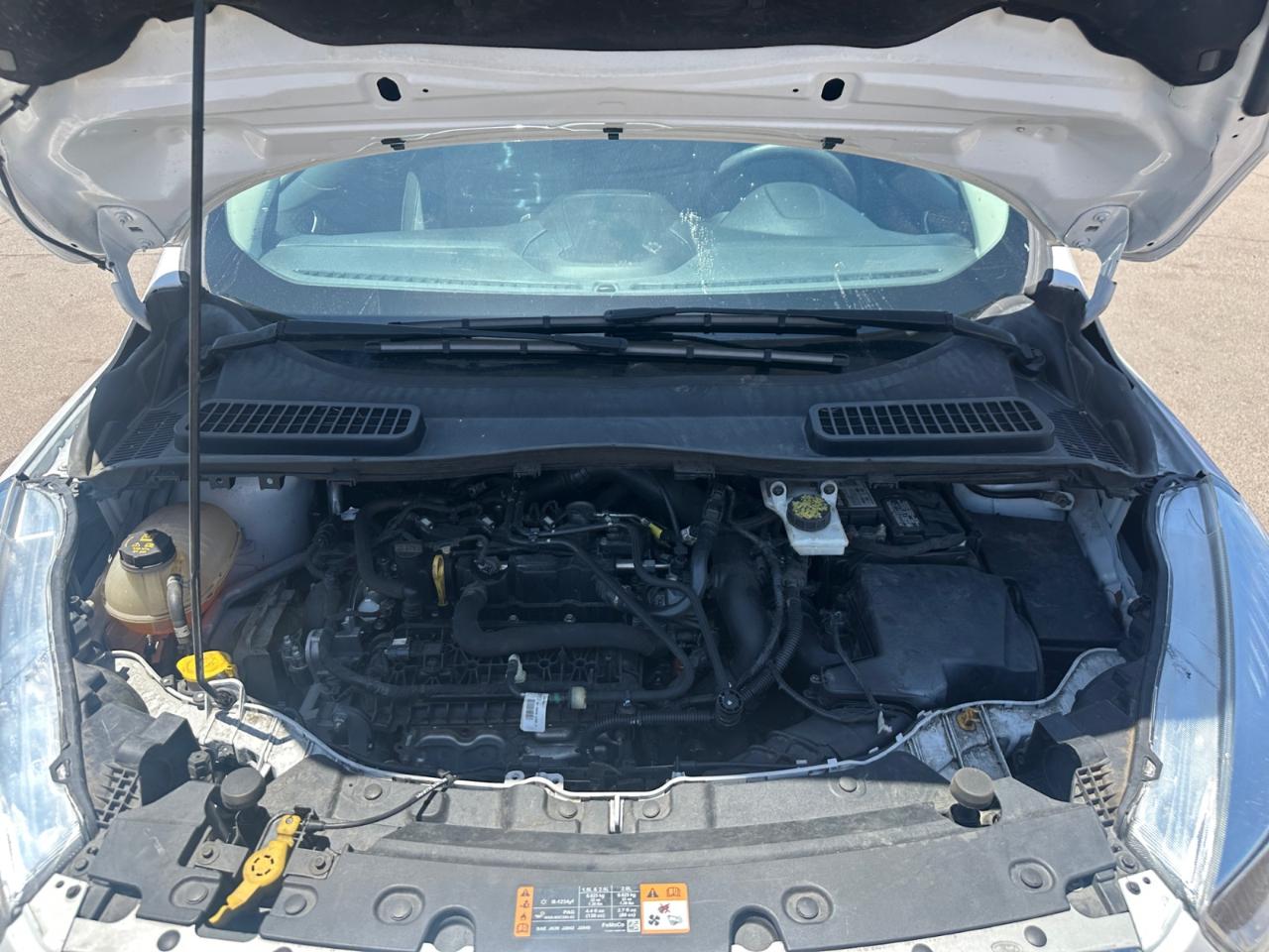 Ford Escape SE FWD 2019