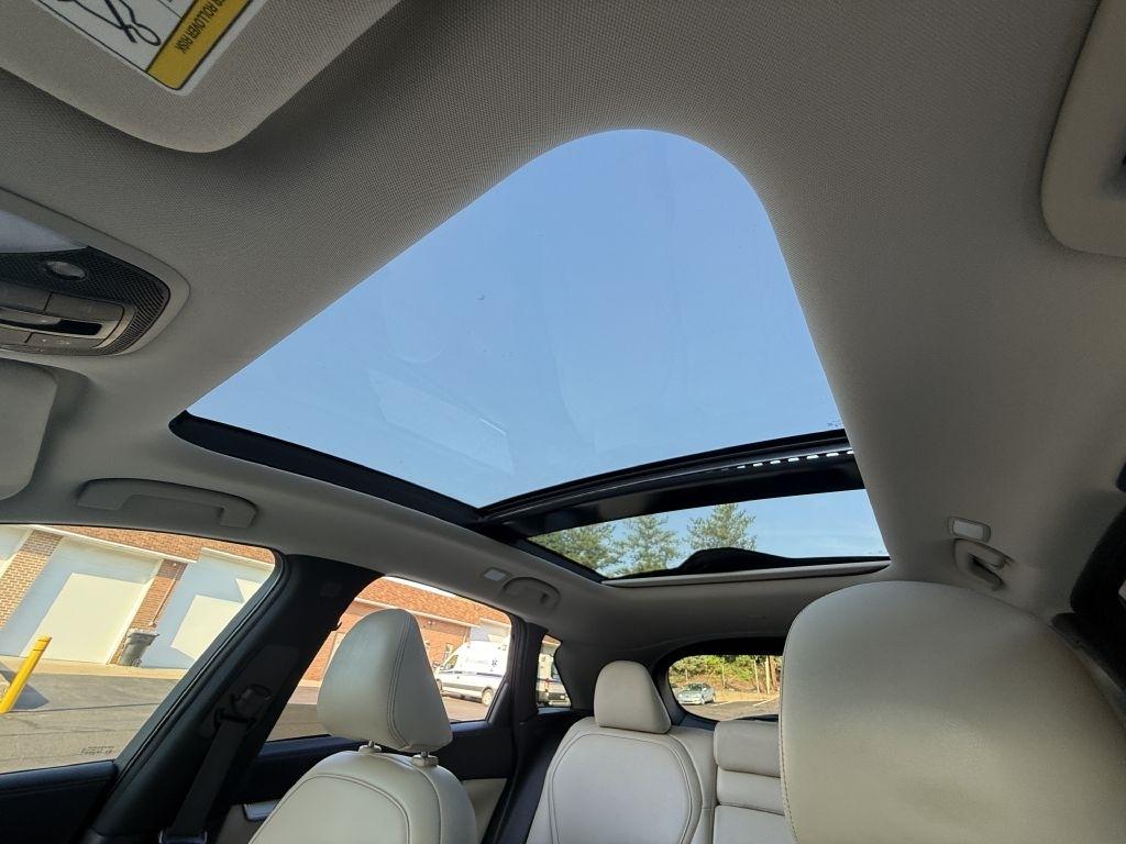 Infiniti QX50  2020