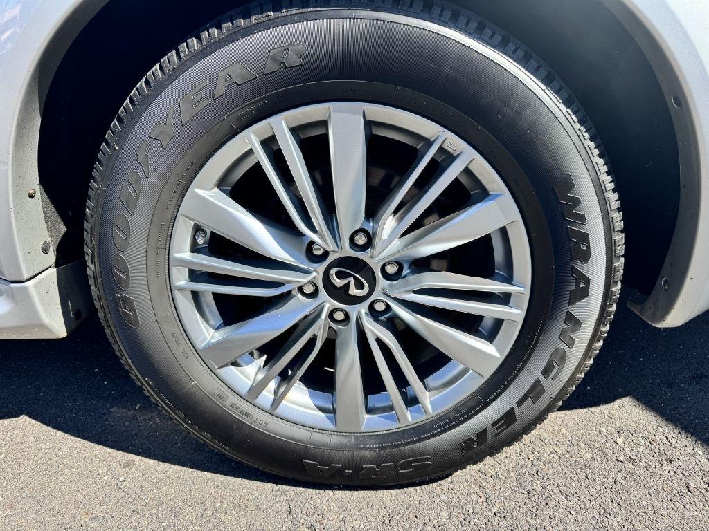 Infiniti QX80  2019