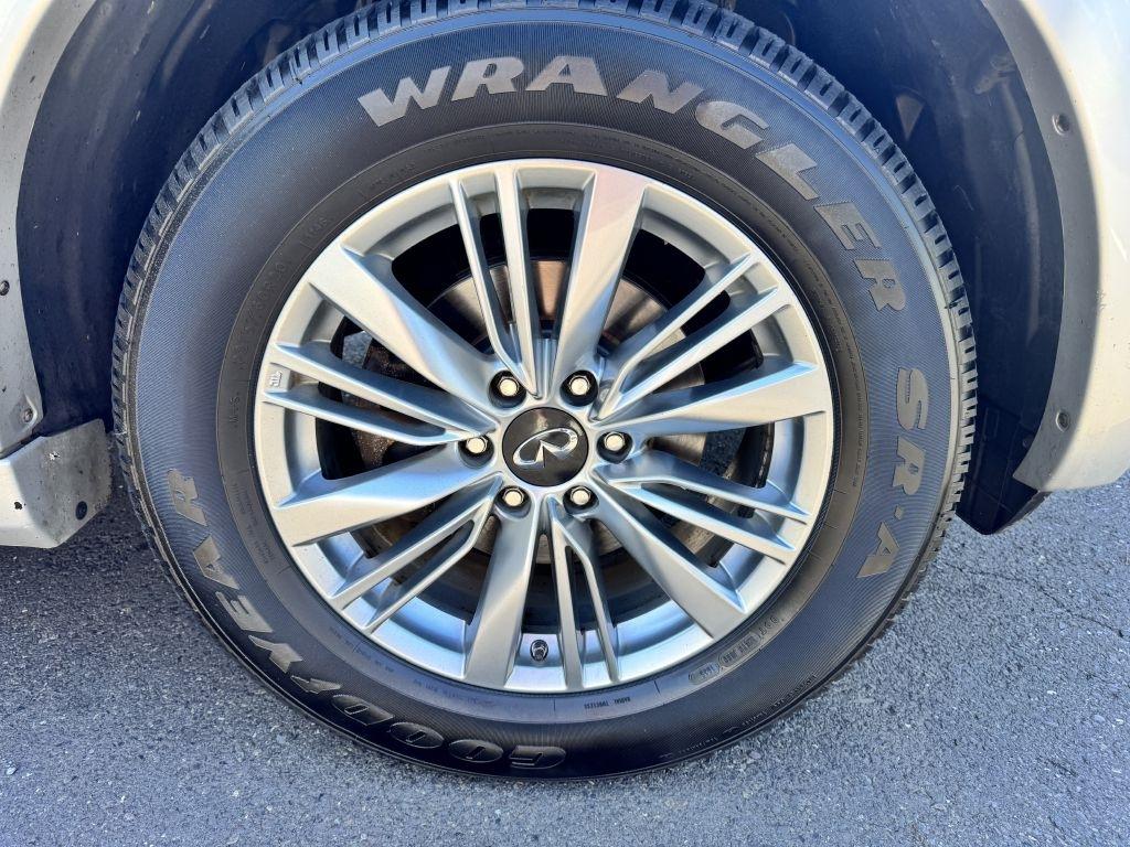 Infiniti QX80  2019