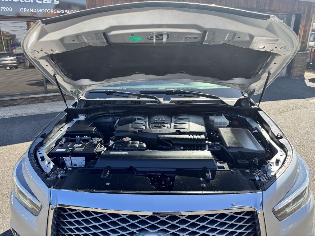 Infiniti QX80  2019