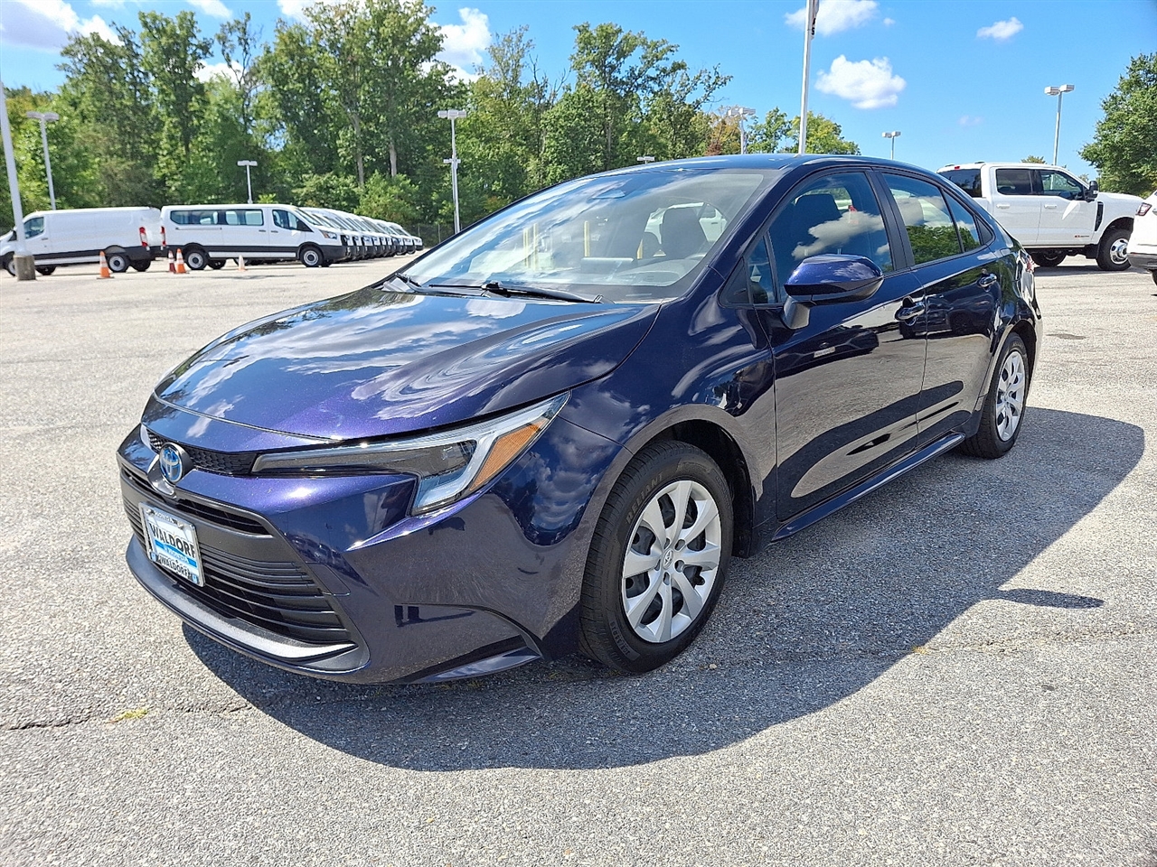 Toyota Corolla Others 2024