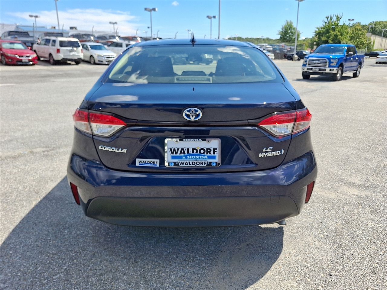 Toyota Corolla Others 2024