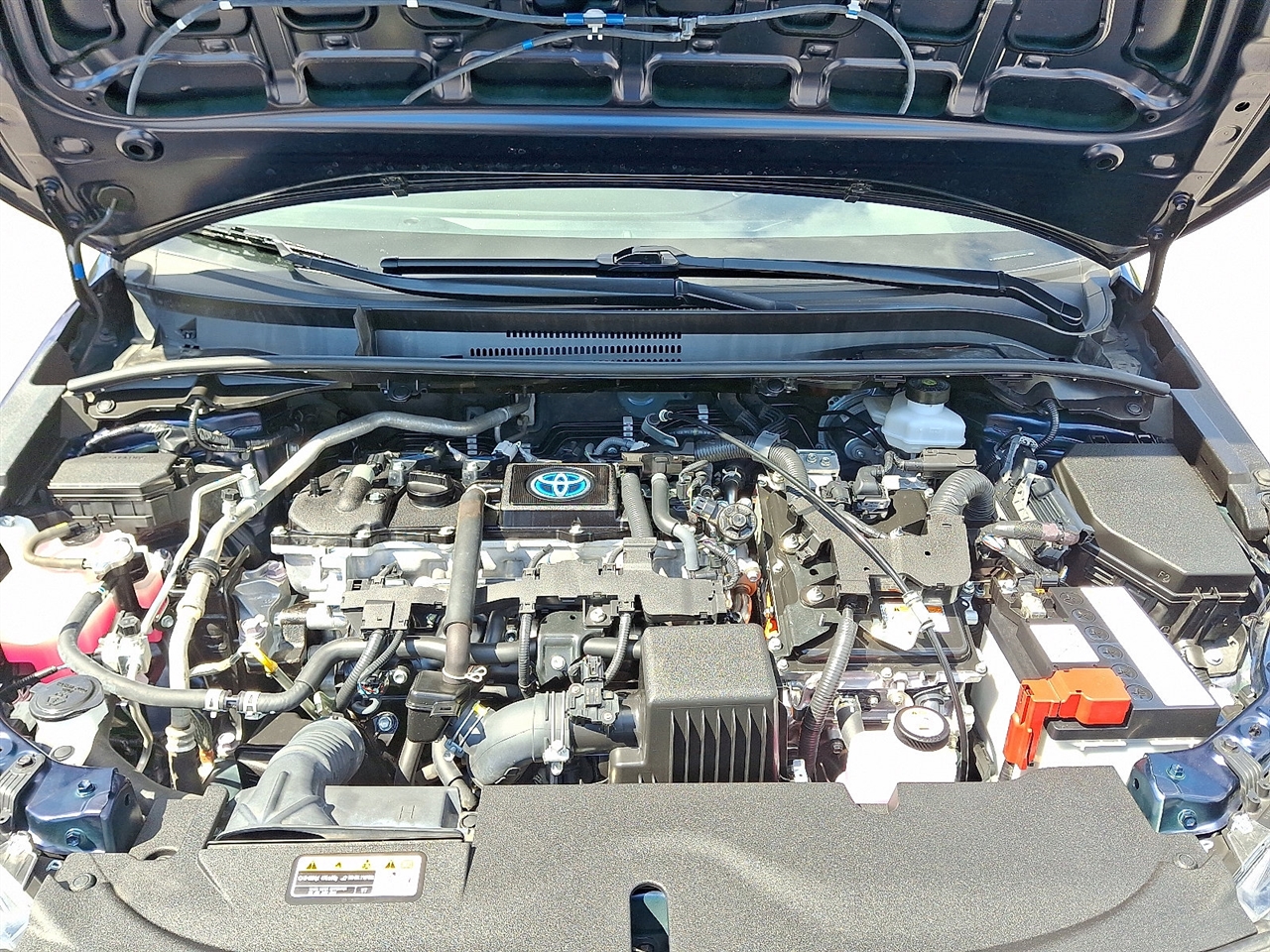 Toyota Corolla Others 2024