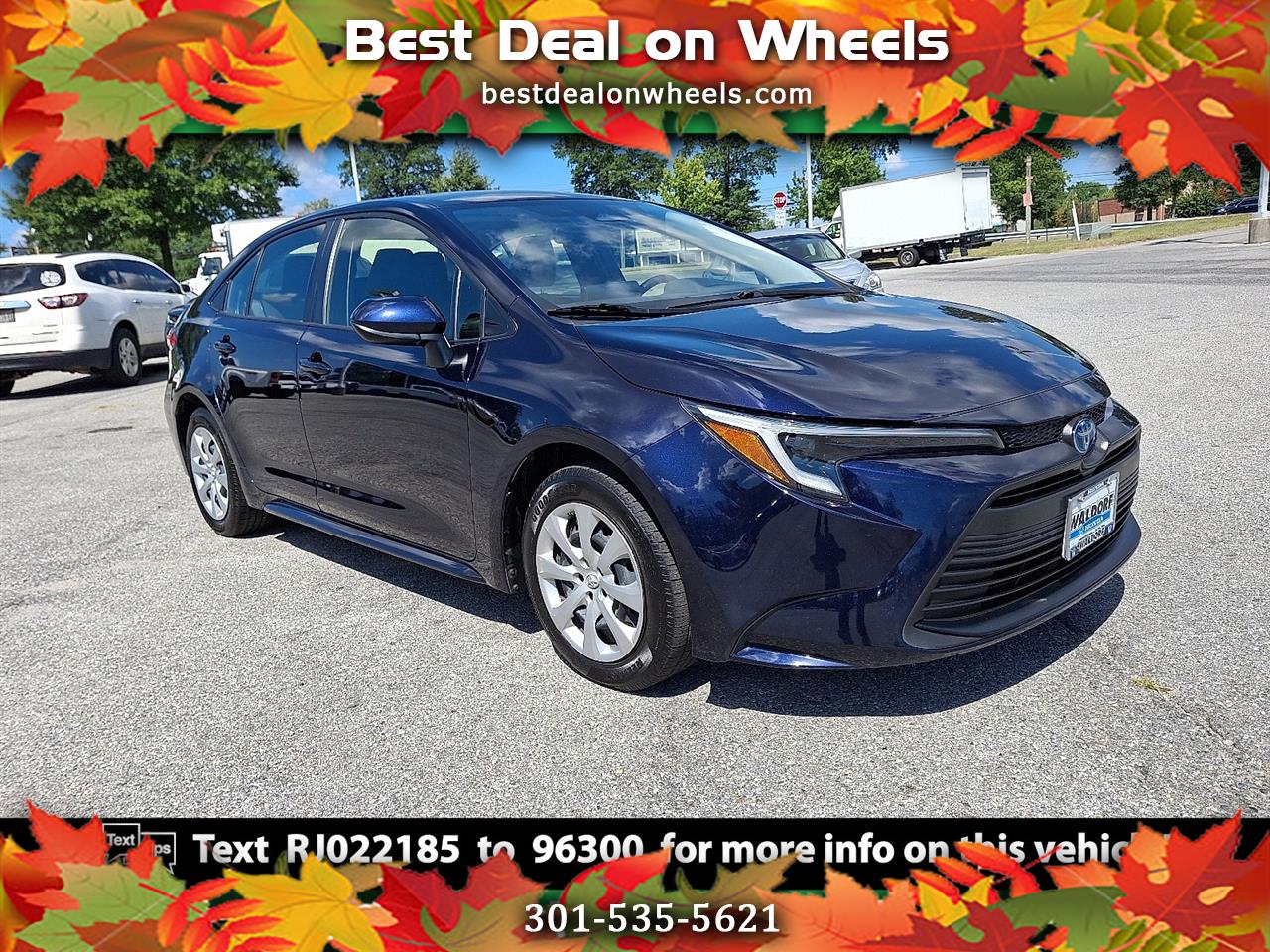 Toyota Corolla Others 2024