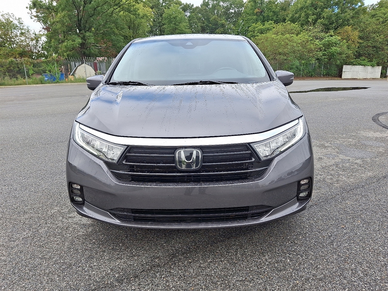 Honda Odyssey EX-L 2024