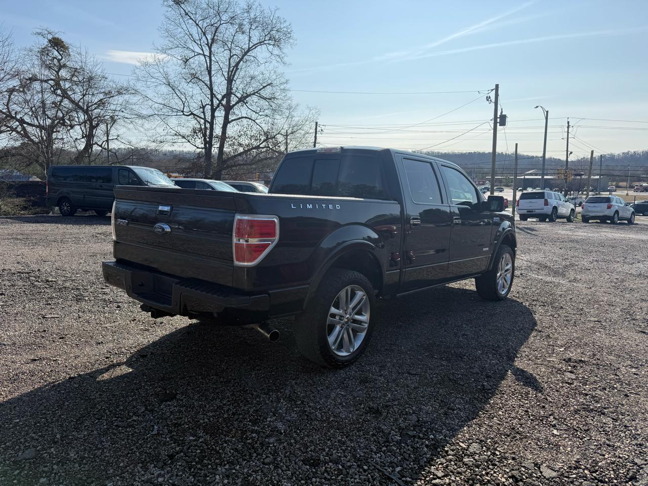 Ford F-150 4WD SuperCrew 145" Limited 2014