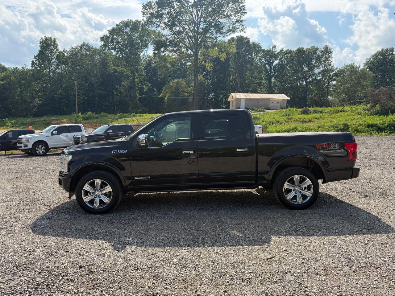 Ford F-150 Platinum SuperCrew 5.5-ft. Bed 4WD 2018